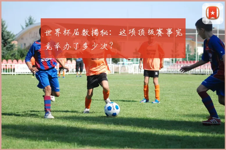 世界杯届数揭秘：这项顶级赛事究竟举办了多少次？