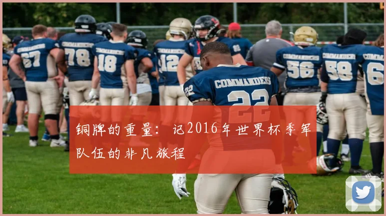 铜牌的重量：记2016年世界杯季军队伍的非凡旅程
